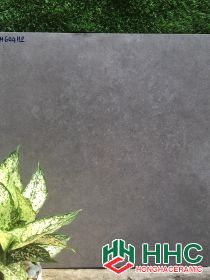 GẠCH LÁT NỀN 60X60  604